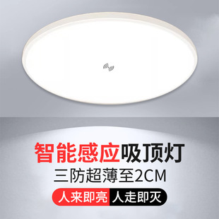 Triac Radar Sensor Light Led Aisle Home Sound and Light Control Property Corridor Corridor Infrared Human Body Voice Control Light Suction