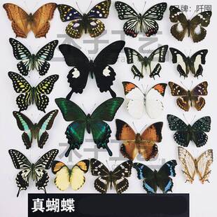 ����Ȼ�˱�δչ����Nԭ���s�� ���x���x�׃��@�߽̾̌W�ղ�