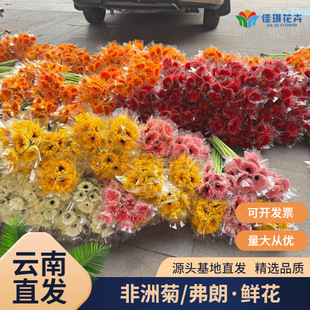 ���޾��r�����l���ʷ��ɻ��r�л�̫ꖻ����ֱ���������@�Fُ�r��