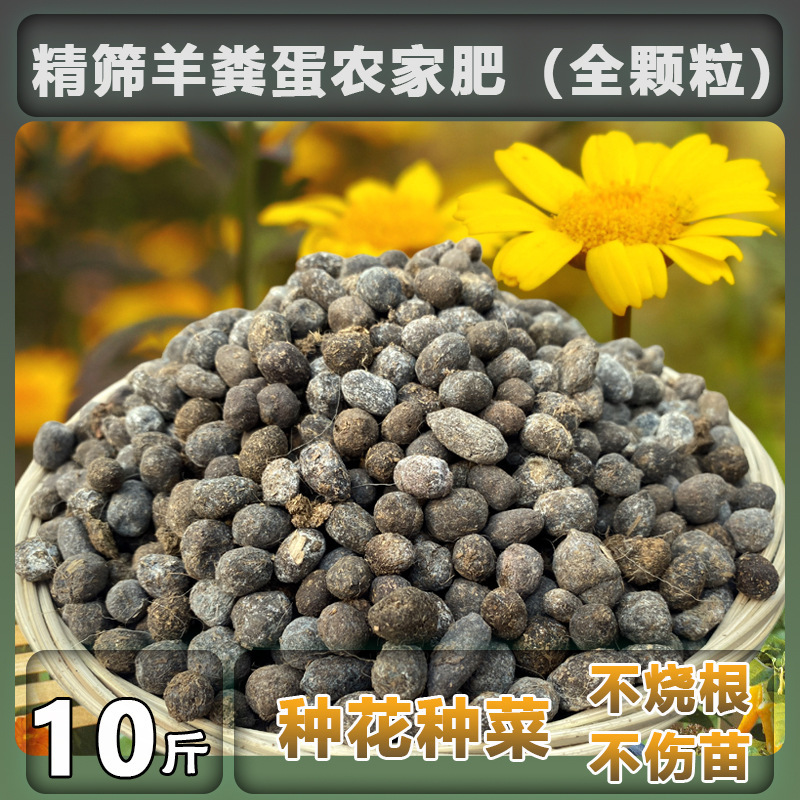 구매자의 95% 이상이 선택하는 엄선된 양분란 과립(전체 과립) 4.9kg개