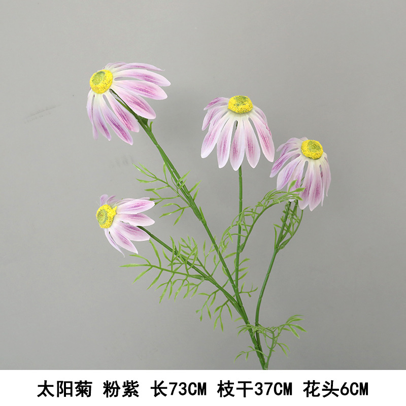 해바라기 (분홍 보라)