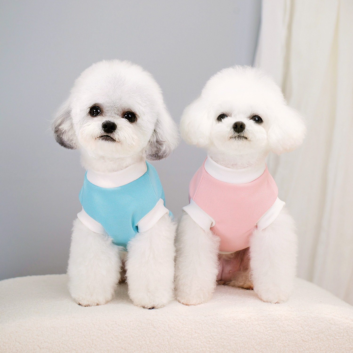 Perro mascota ropa para perros ropa para mascotas primavera y verano bichón peluche chaleco para mascotas tirantes camiseta con estampado de waffle