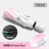 8-bone gradient automatic gift box white peach powder (16-bone double keel)