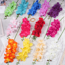 ����9�^�f���m�����m�͏d���h�Ҳ廨�b�Y������Y���bٻ�