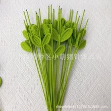 �ֹ��@��2̖���U���~���տ���õ�廨���Ի��U���lֲ����滨�b�