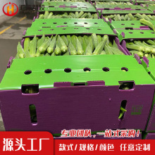 厂家现货中空板周转箱 塑料镂空蔬果抗压包装中空板周转箱 可打样