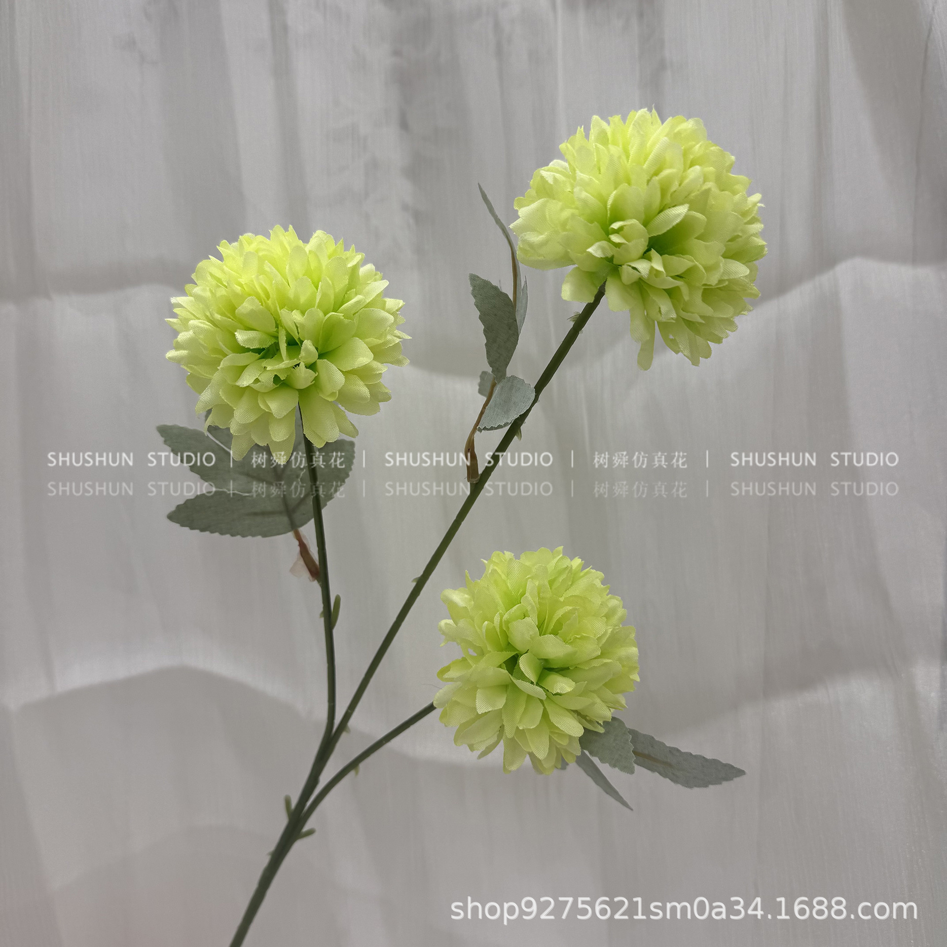 3 cabezazo crisantemo-verde claro