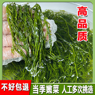 ���ڹS���S�L�۲˛���˺�����˻��ʳ�ı��ݹS�}�n�Rβ���򗫲�