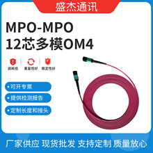 1接头为MPO-MPO的跳线 电信级12芯多模万兆OM4 坚固光纤连接器