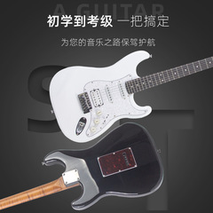 Direct Factory Sale Single-Coil Electric Guitar ST Classic Model with Three-Pickup Entry-Level JB Electric Bass Wholesale Label
