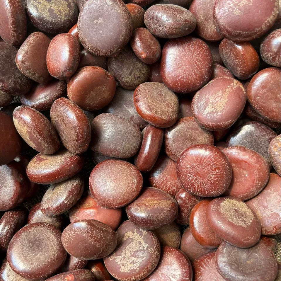 Скидка оптовая продажа, поставка из мытого дерева, талия, фасоль мира, драконы, пересекающая речковый дракон