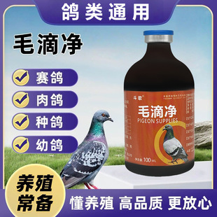 ���ӿ��S�������ӿ�ǻ���c��������ë�����xِ�������B��S��