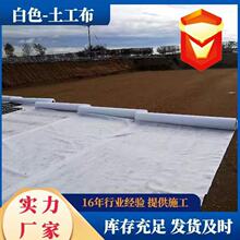 ��ɫ��]������ 200g͸ˮ���x�̽z�o���� ���wᘴ̷ǿ���������