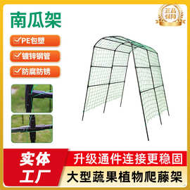南瓜爬藤架户外庭院园艺爬藤植物架花架耐磨包塑钢管蔬菜爬藤支撑