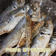 福建漳州巴浪魚干即食海鮮干貨東山特產 淡干不咸帶整只帶頭魚干