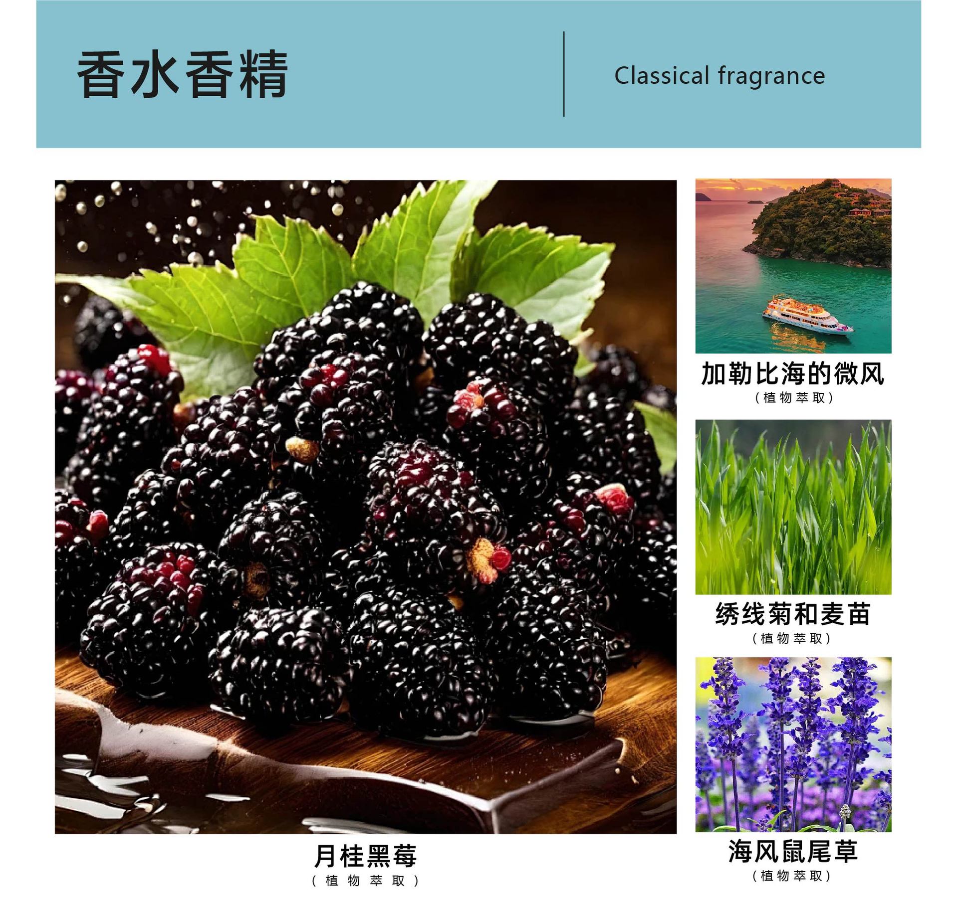 O1CN01yJ5qDg1CUWF4TU48u_!!2214927430084-0-cib.jpg?__r__=1722669567049