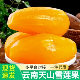 块茎类;其他水果;苹果