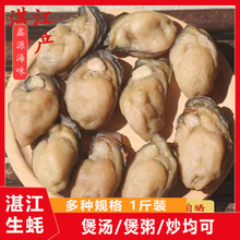 տ���خa��̖����500g�������Ϡ��ĵϠ�Ɏ��ຣ�r��؛���a