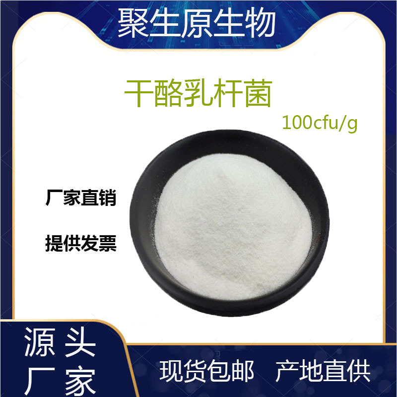 干酪乳杆菌100cfu/g食品级冻干型乳杆菌活性益生菌粉 厂家现货