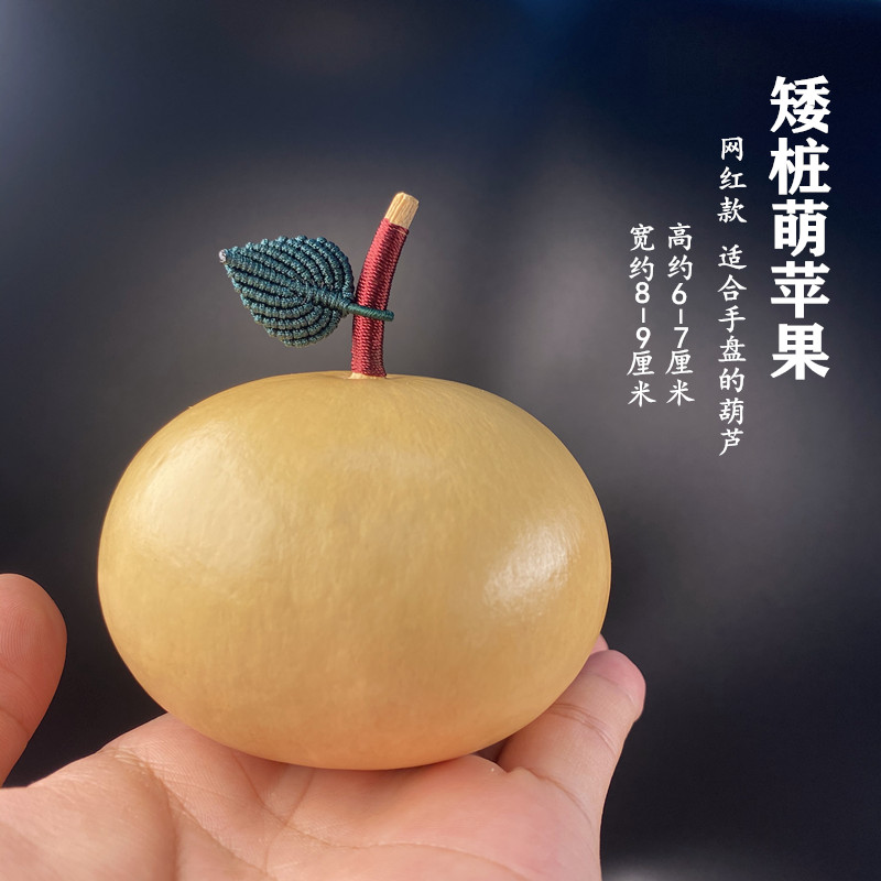 드워프 파일 귀여운 사과 [Xiaohongshu 핫 스타일] 제품 + 잎 포함