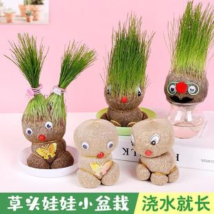 Long Grass Doll with Blooming Grass Head Doll with Grass on Its Head, Kindergarten Fun Small Potted Plant, Creative Cute Green Plant