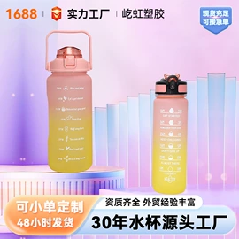 摇摇杯;塑料杯;太空杯