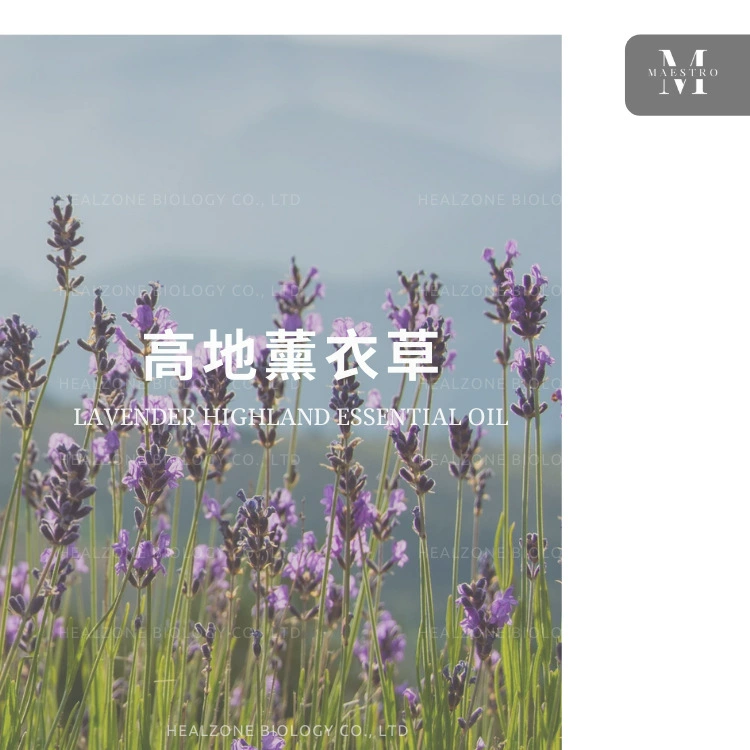 Хайленд Лаванда (Lavender Highland) французского происхождения прямые поставки большой высоте импортного одностороннего эфирного масла