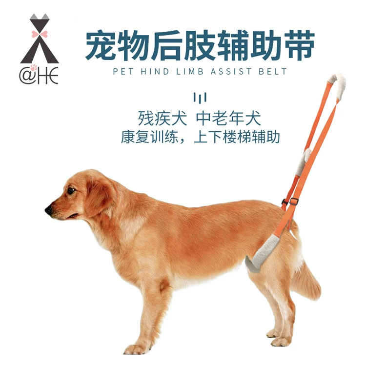 Трансграничная новая помощь домашним животным в отношении задних конечностей с собаками-инвалидами Пожилые собаки Помощь в реабилитации Обучение Помощь в наличии