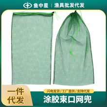 С�����ډT�z�W������ƽ���~�o�~���W�������W���O�WС�W�������