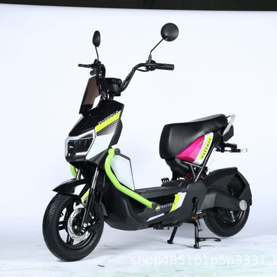 Elektrikli motosikletlər Warrior Electric Motorcycle, Adult Two-Seater