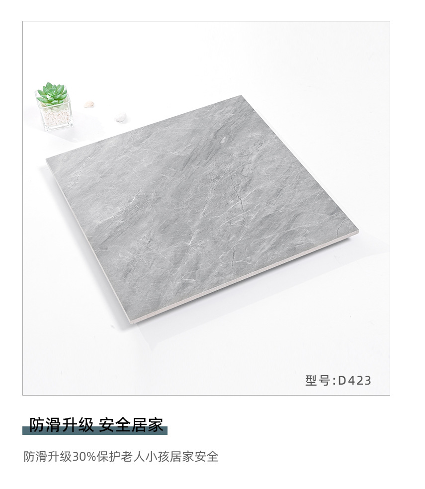TL4816名士灰 (5).jpg