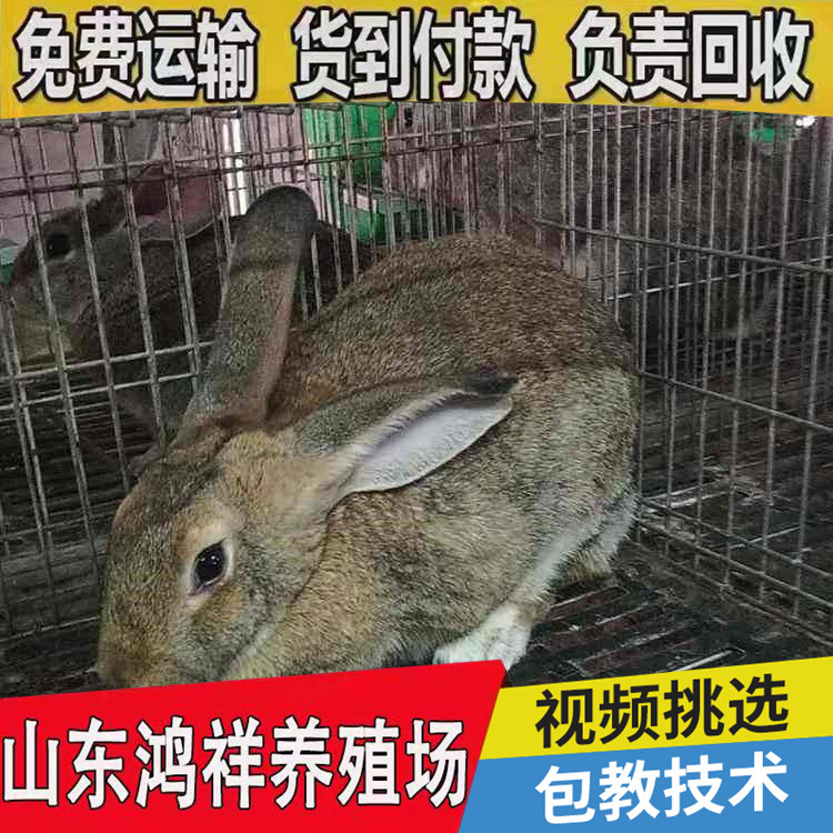 conew_u=1783183013,2352675105&