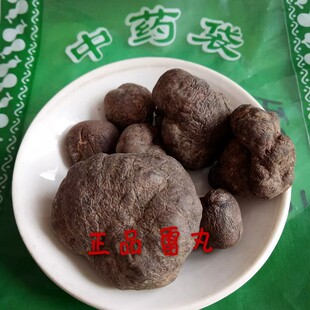 ���Ұ�������؛��ș����ʸ�׌��������������֥ľ�B��