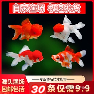 �^�p�~��ˮ�~���С���~��С����~���~�\���~���w�t�{���^��ˮ�~