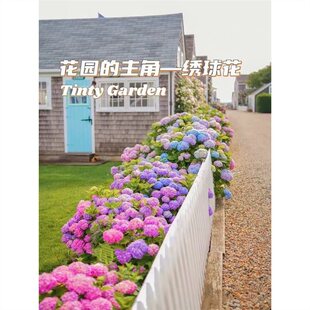 ������o�M���ļ��_����������ͥԺ���B�Ļ���ֲ���҃Ȼ�