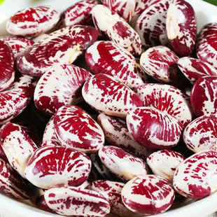 �����s�� ���R���ɰ��� �������ϻ�ܿ���G�� �S��ֱ�l