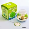 [Island Set] Coconut Island*2 small balls*packaging