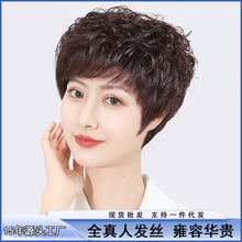 �ٰlŮȫ��l�̰l������Ůʿ�̾��lȫ�^�וr�п�ȫ�ֿ������ٰl��