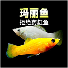 �����~̥�����y�ڬ����~�¹��~С�͵�ˮ���֌����~�Ꭷ�^�p�~���w