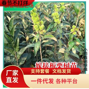 ɽ�|�a��ֱ�N�t��1̖������ ��������� ������r�� ���������l