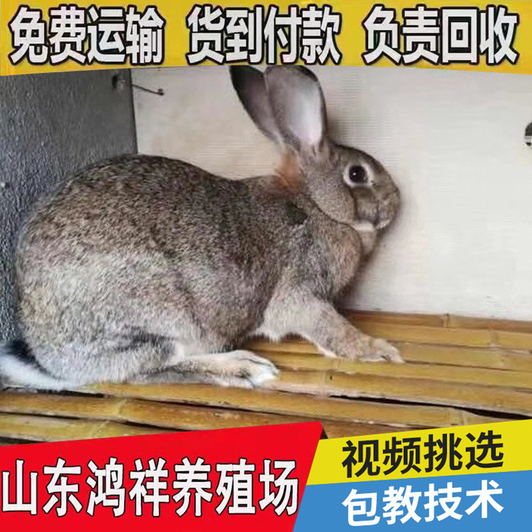 conew_u=3057260401,1013988023&