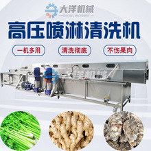 可定制高压喷淋清洗机特脏土豆清洗设备不锈钢材质山药清洗机厂家