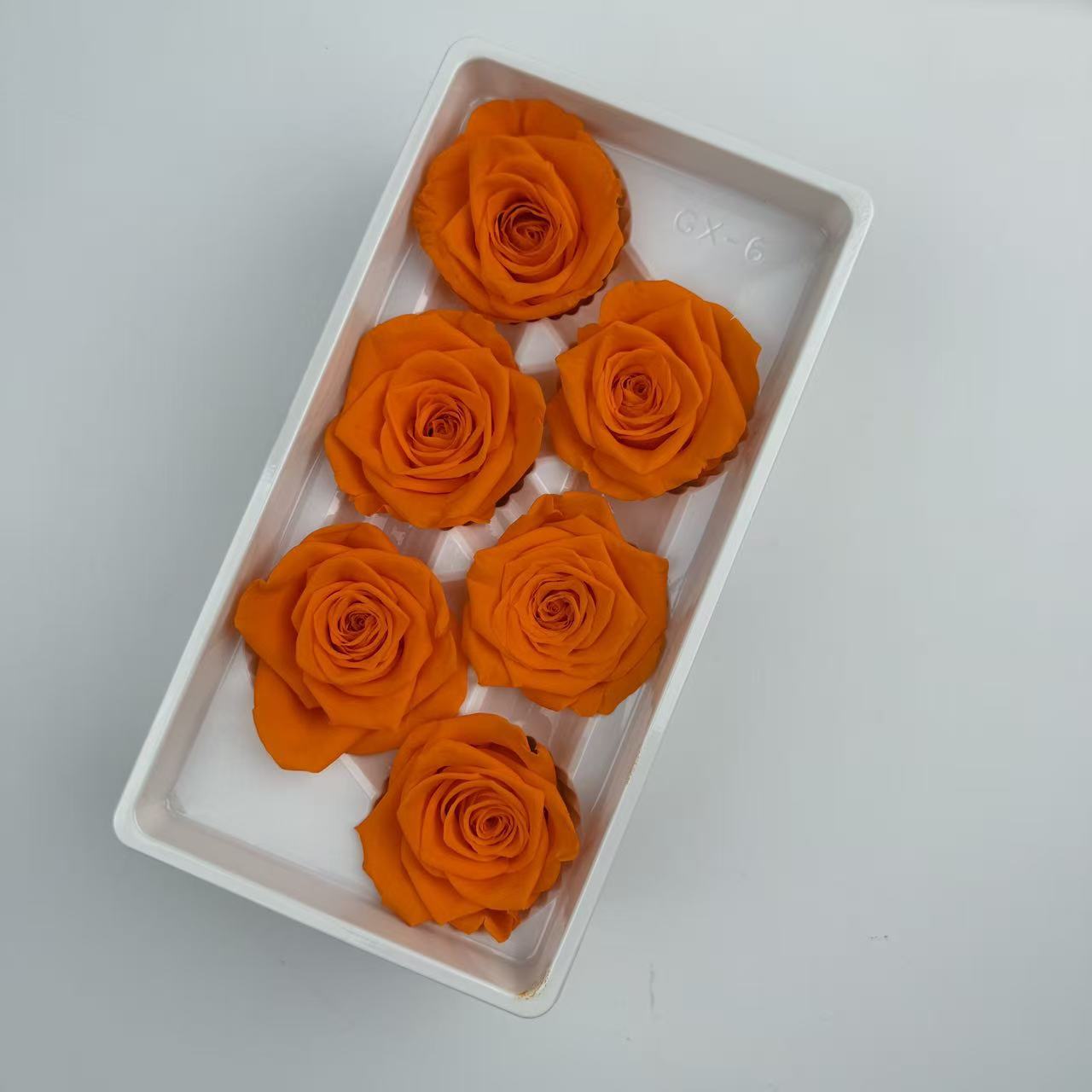 Rosa Eterna A+ de 5-6 cm, Flor Real Seca, Regalo DIY, Fábrica de Yunnan, Ramo para el Día de la Madre 520