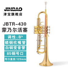 津宝小号乐器JBTR-430 降B调蒙乃尔活塞磷铜吹嘴管专业学校乐团队