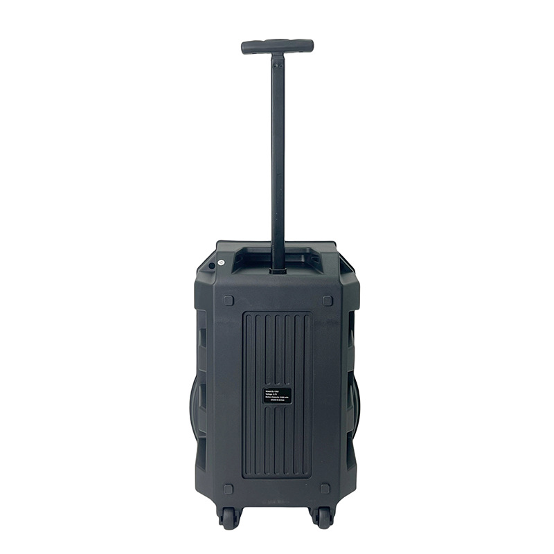 Gran promoción transfronteriza 12 pulgadas 20W altavoces al aire libre festival reunión Bluetooth con micrófono iluminación de atmósfera LED