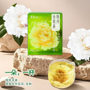 ������ĵ���������ں����خa���ĵ�������خa���ֶY��
