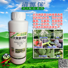 “Դ”Դ^S0.5%SؼѰ׷۲Σ500ml×20ƿ