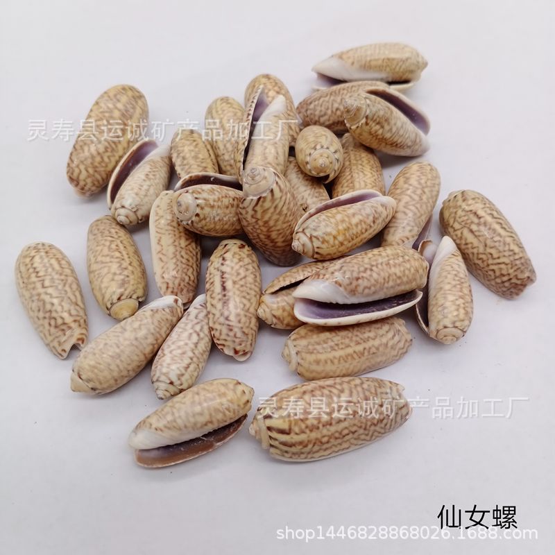 IMG_20210903_141314_副本