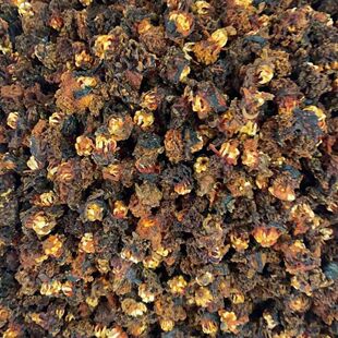 ���l���l������؛�ɺ������^���O�t���Ҝ����aʳ��500g��Ȼ����