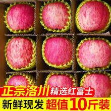 正宗洛川苹果整箱陕西特产当季红富士水果10/5斤脆甜